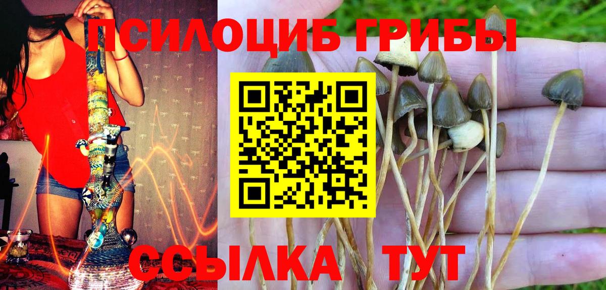 Галлюциногенные грибы Magic Shrooms Сегежа