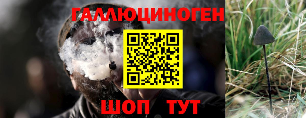 Сегежа  Галлюциногенные грибы прущие грибы  Галлюциногенные грибы Psilocybe  Вход с VPN 